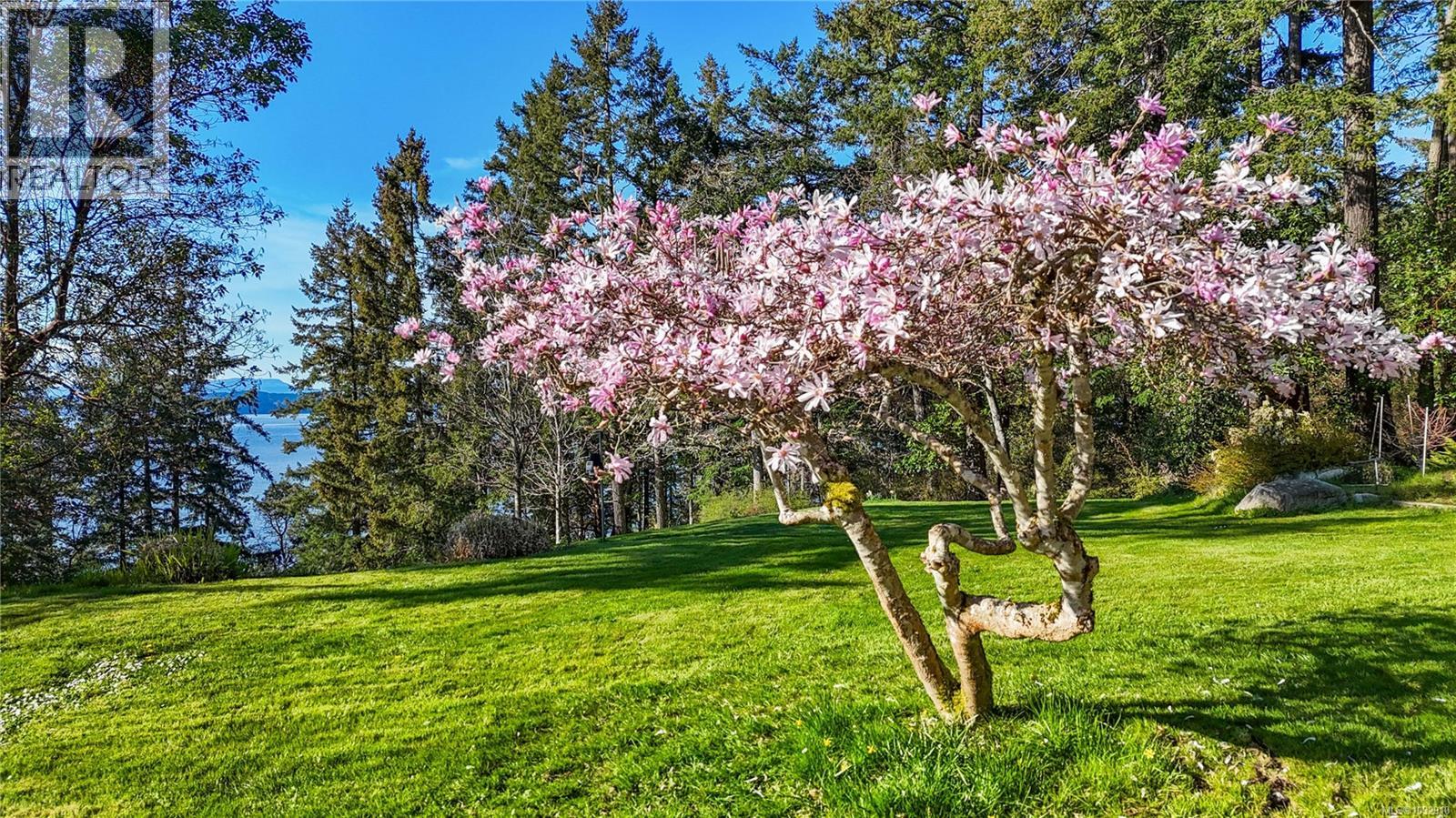 8440 Lawrence Rd, Central Saanich, British Columbia  V8M 1S5 - Photo 47 - 1032910