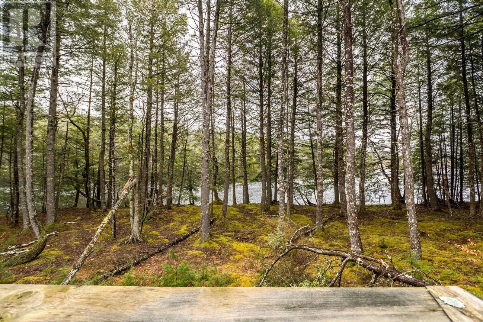 87 Edith's Point Road, South Brookfield, Nova Scotia  B0T 1K0 - Photo 36 - 202608267