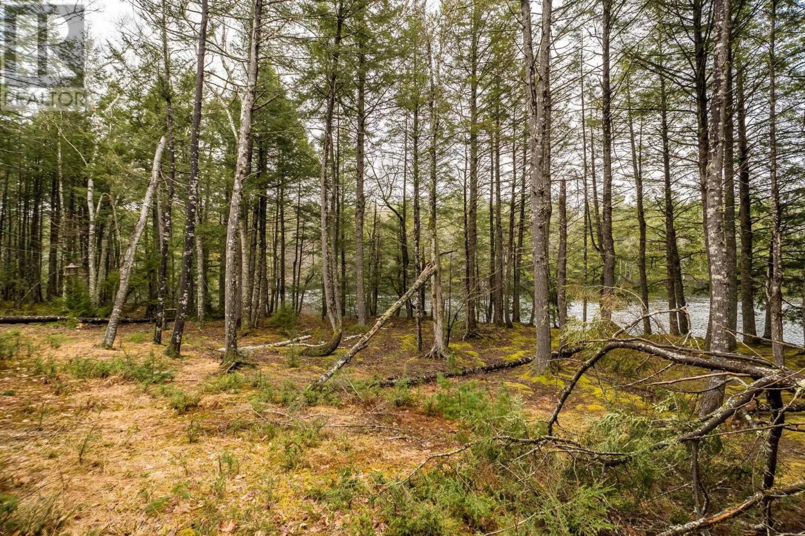 87 Edith's Point Road, South Brookfield, Nova Scotia  B0T 1K0 - Photo 37 - 202608267