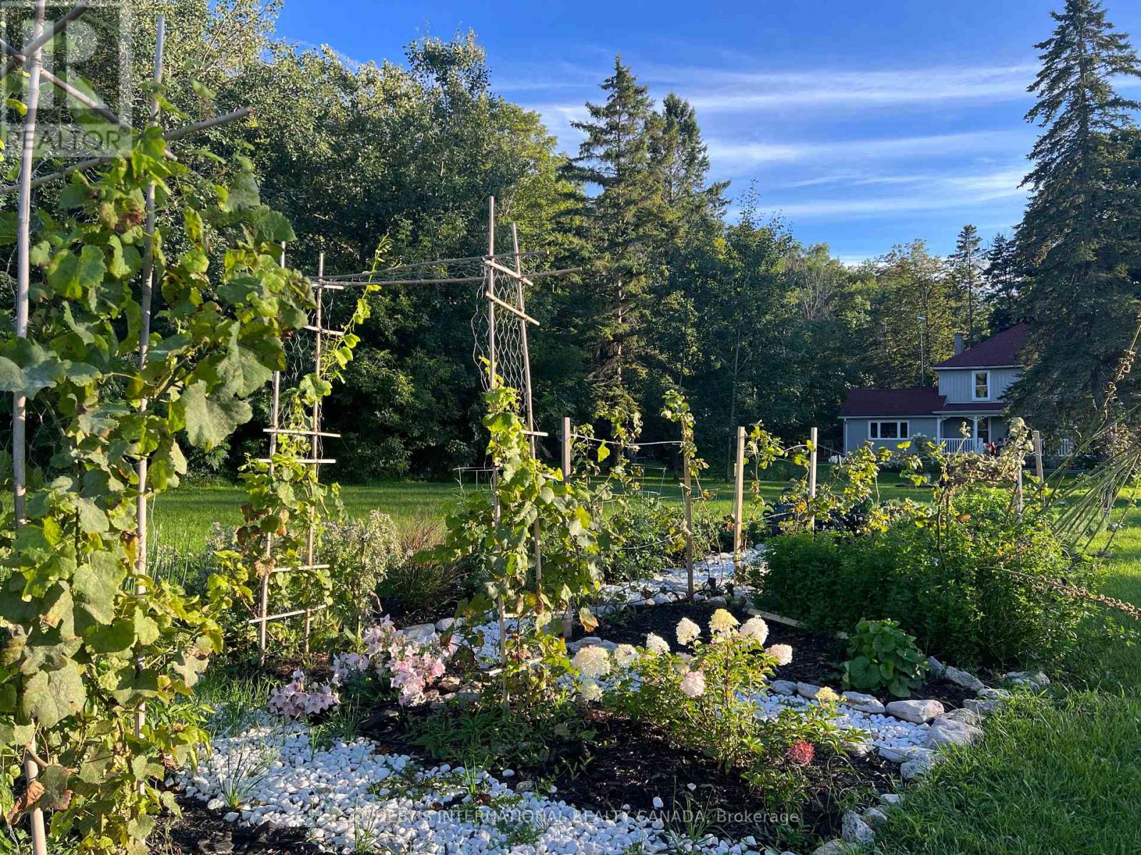 3050 County Road 7, Prince Edward County, Ontario  K0K 2T0 - Photo 35 - X13033010