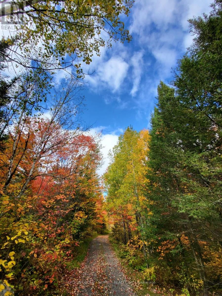 98 West Ham Lake Road, Killarney, Ontario  P0M 1A0 - Photo 15 - X13033084