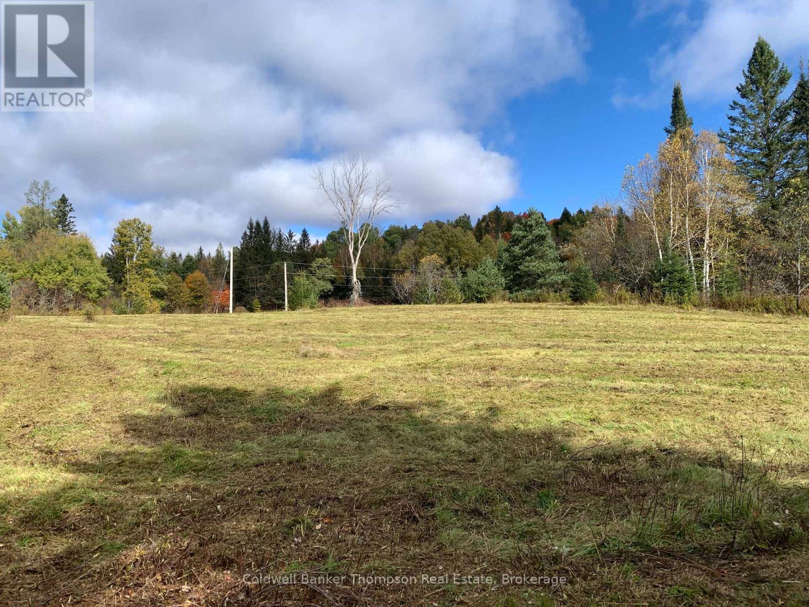 101 Proudfoot Road, Armour, Ontario  P0A 1Z0 - Photo 12 - X12425953