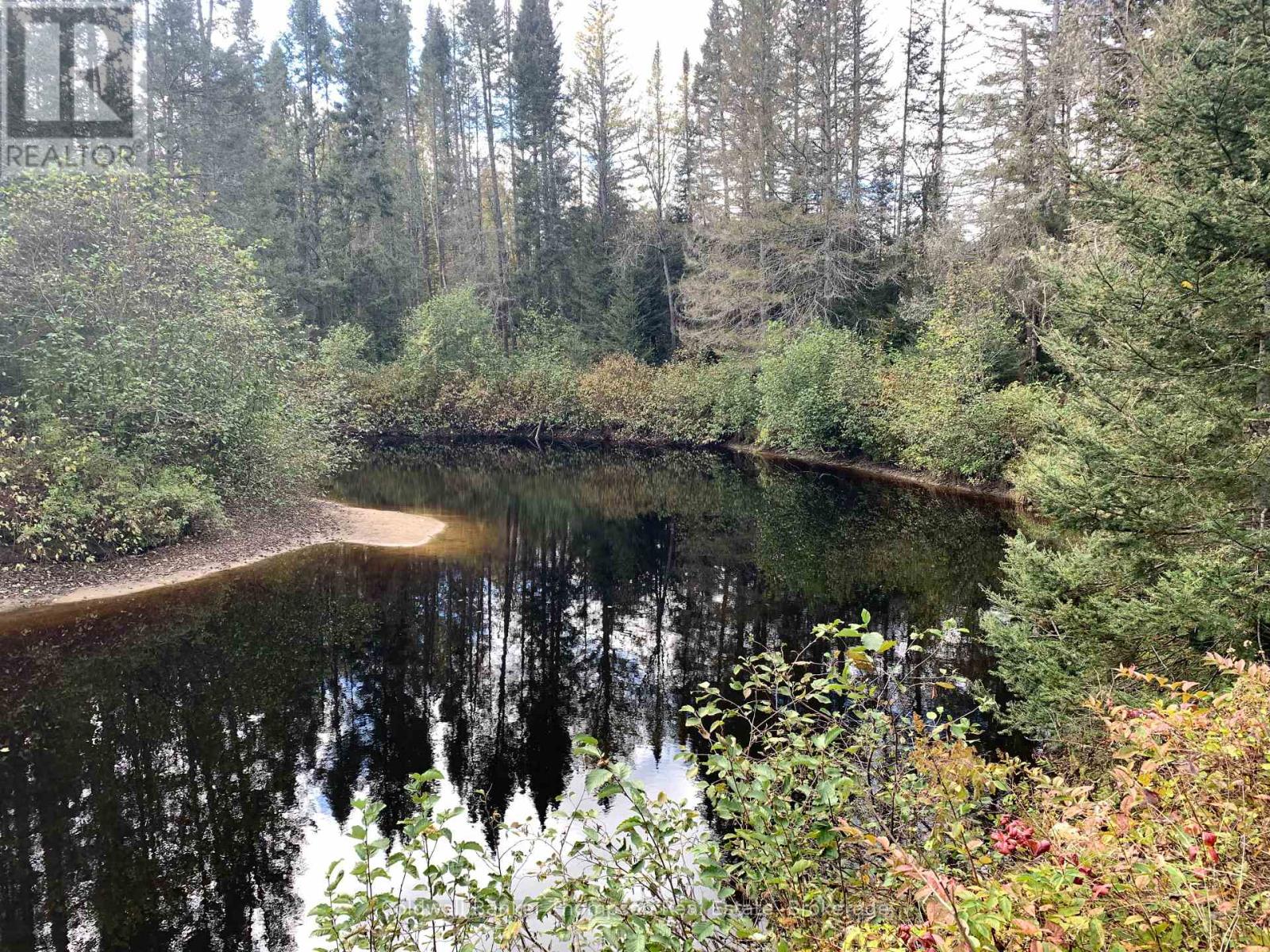 101 Proudfoot Road, Armour, Ontario  P0A 1Z0 - Photo 3 - X12425953