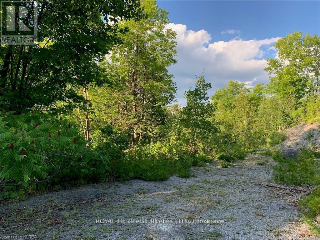 0 Pt Lt 32 County Road 49 Road, Trent Lakes, Ontario  K0M 1A0 - Photo 4 - X13029574