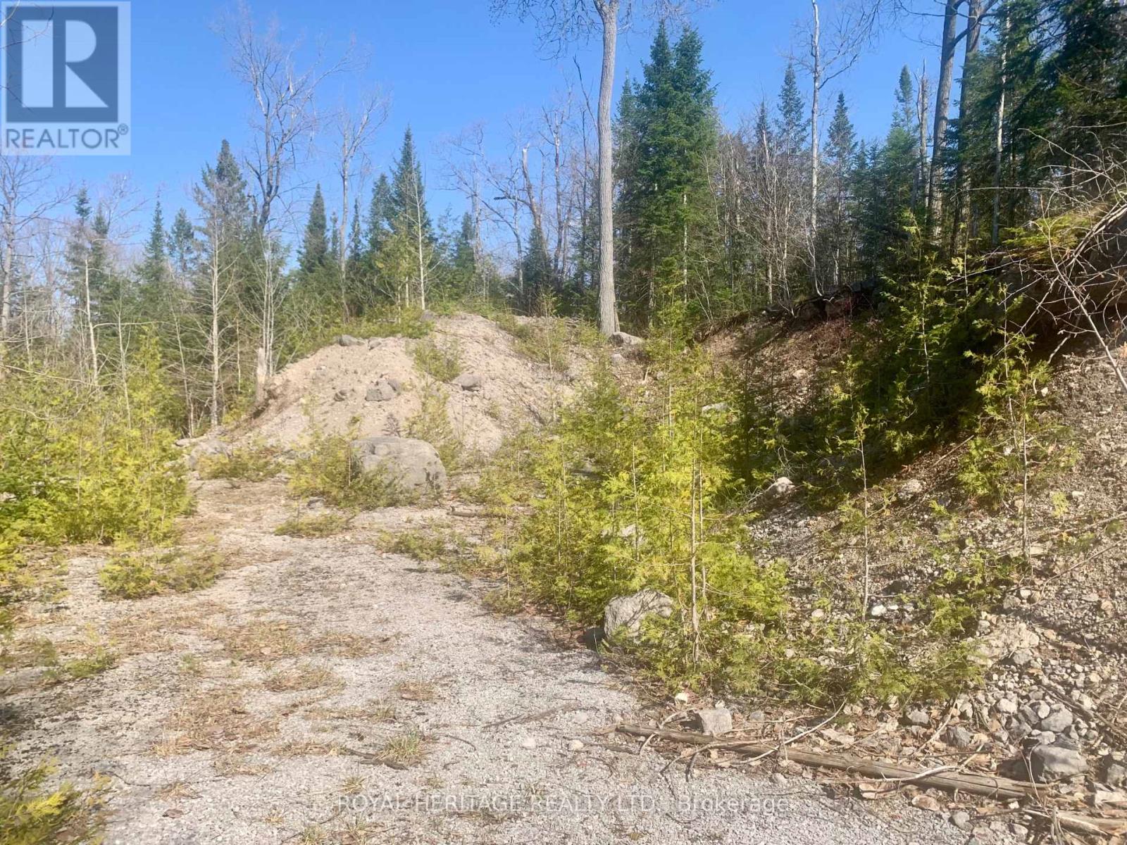 0 Pt Lt 32 County Road 49 Road, Trent Lakes, Ontario  K0M 1A0 - Photo 6 - X13029574