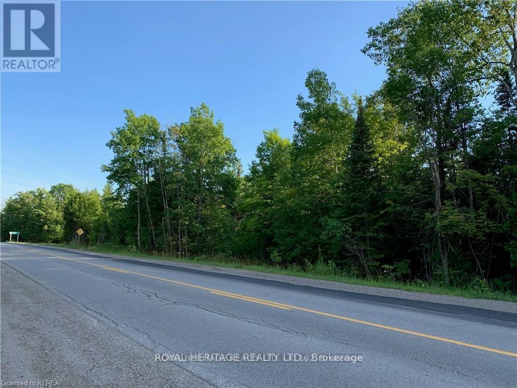 0 Pt Lt 32 County Road 49 Road, Trent Lakes, Ontario  K0M 1A0 - Photo 3 - X13029574