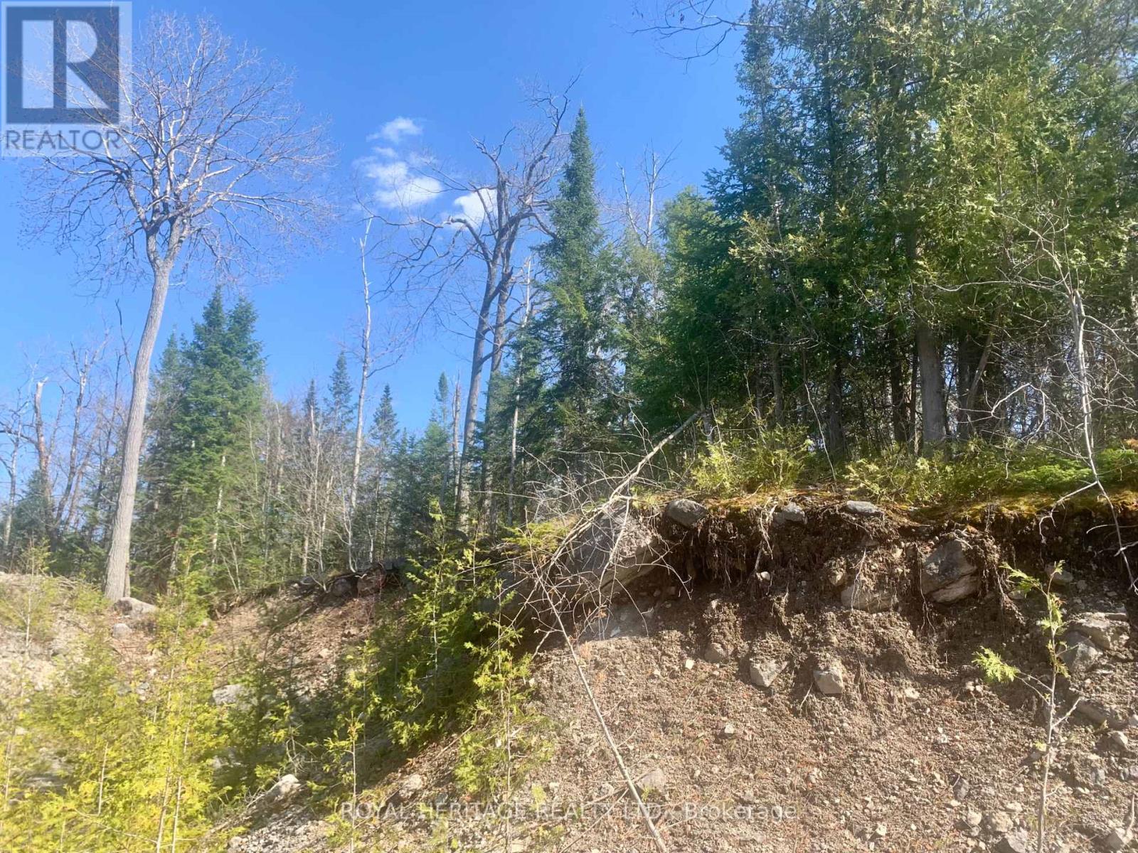 0 Pt Lt 32 County Road 49 Road, Trent Lakes, Ontario  K0M 1A0 - Photo 7 - X13029574