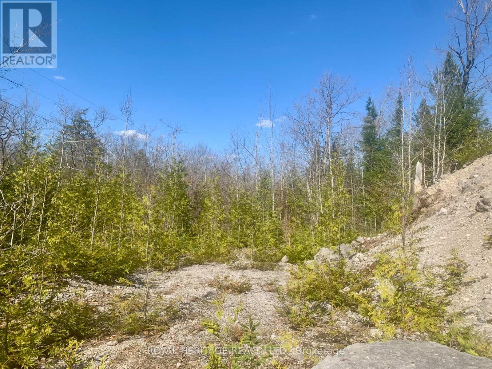 0 Pt Lt 32 County Road 49 Road, Trent Lakes, Ontario  K0M 1A0 - Photo 5 - X13029574