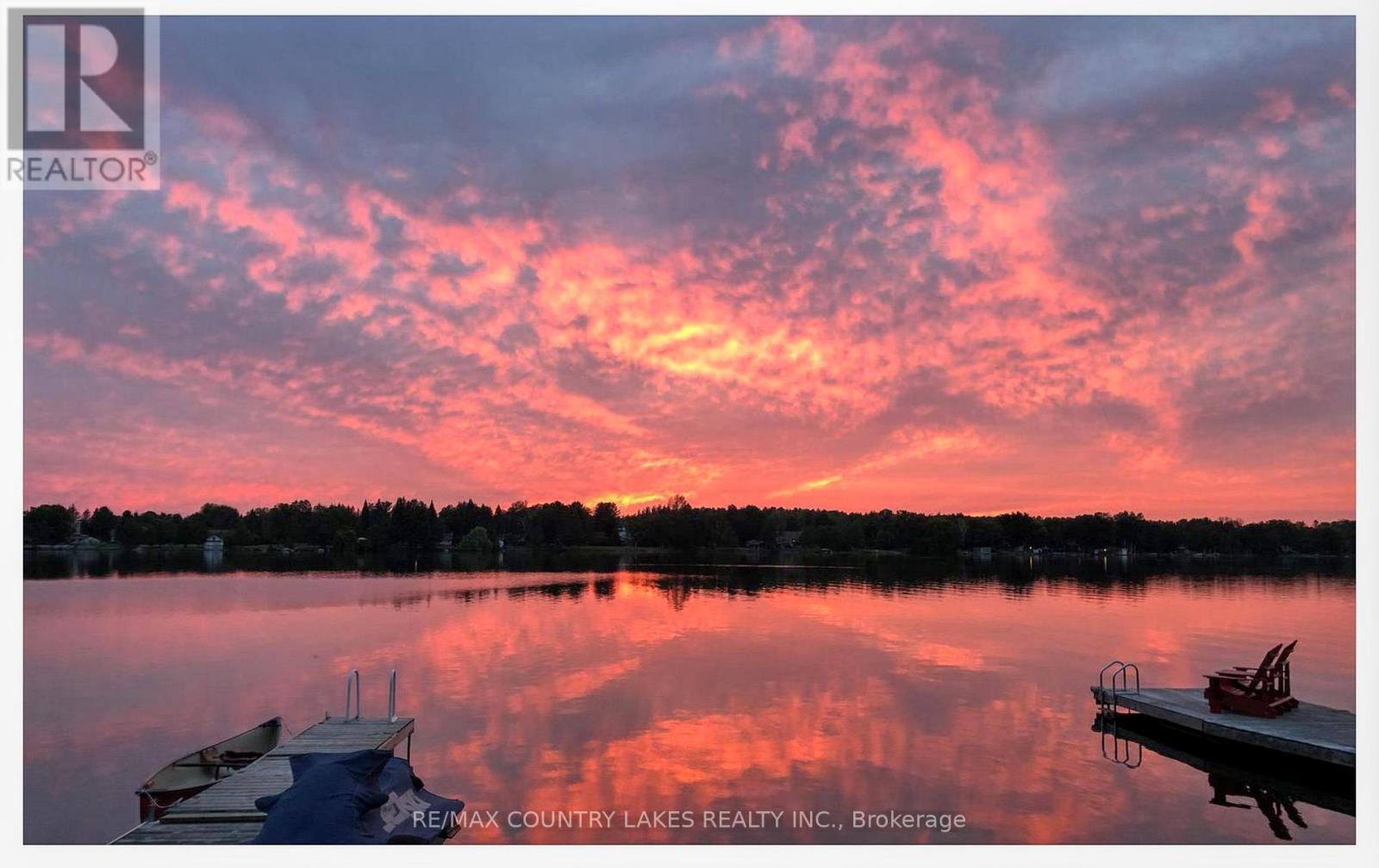 87 Paradise Road, Kawartha Lakes, Ontario  K0M 1B0 - Photo 33 - X13015936