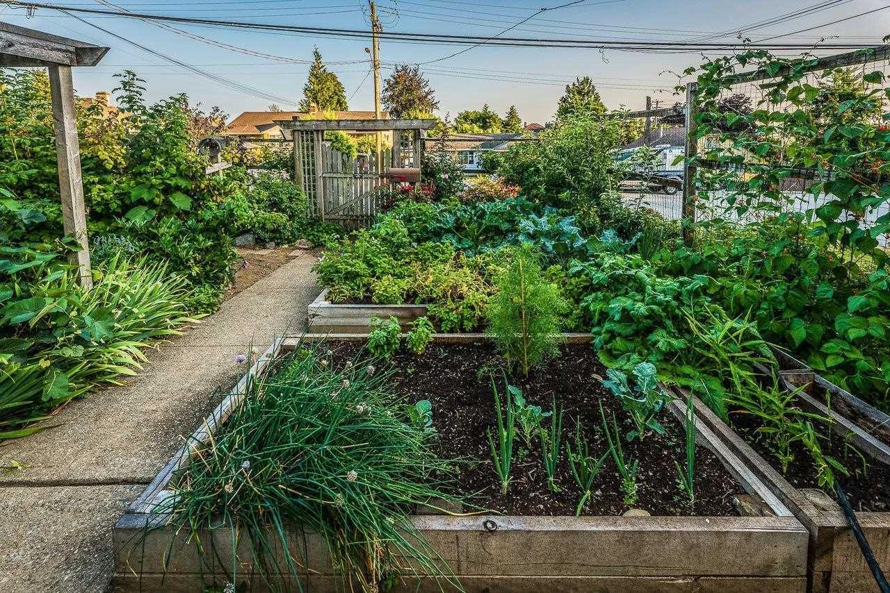 33433 3 Avenue, Mission, British Columbia  V2V 1P3 - Photo 33 - R3114585