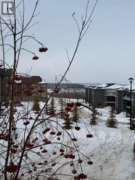 1023, 201 Abasand Drive, Fort Mcmurray, Alberta  T9J 1J1 - Photo 10 - A2304437