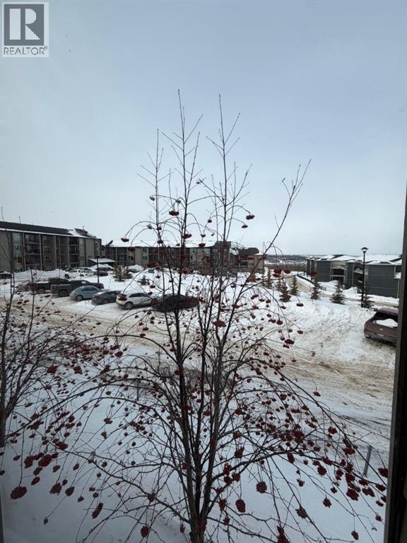 1023, 201 Abasand Drive, Fort Mcmurray, Alberta  T9J 1J1 - Photo 9 - A2304437