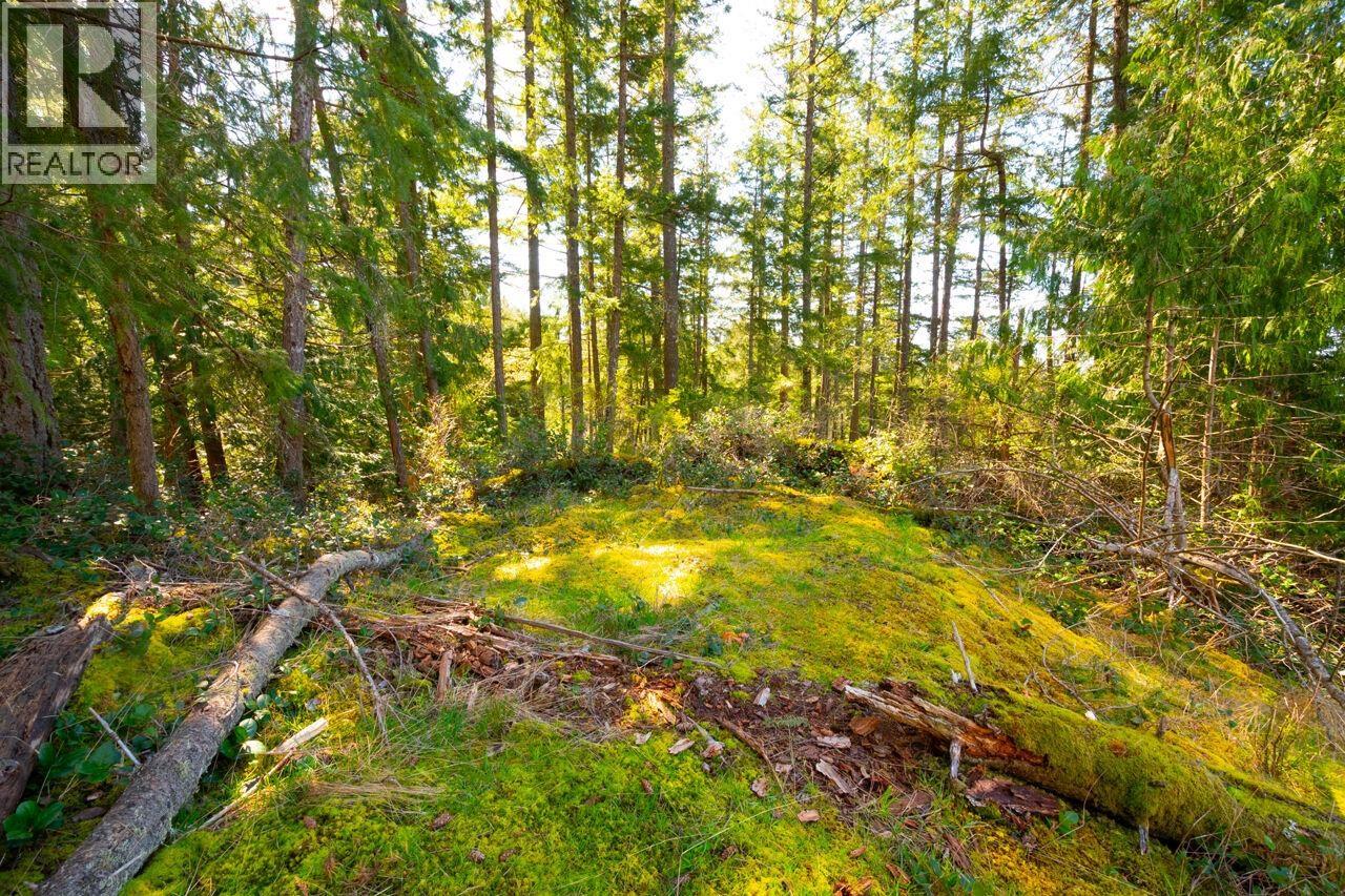Lot 1 Innisfree Lane, Bowen Island, British Columbia  V0N 1G2 - Photo 7 - R3114921