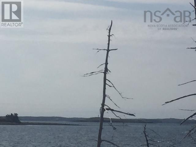 Grand Gully Island, River Tillard, Nova Scotia  B0E 2X0 - Photo 38 - 202608293