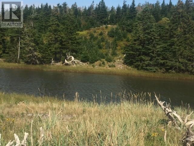 Grand Gully Island, River Tillard, Nova Scotia  B0E 2X0 - Photo 39 - 202608293