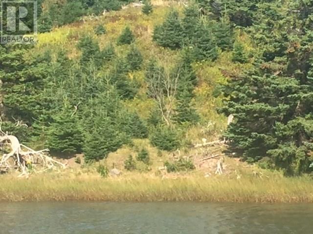 Grand Gully Island, River Tillard, Nova Scotia  B0E 2X0 - Photo 41 - 202608293