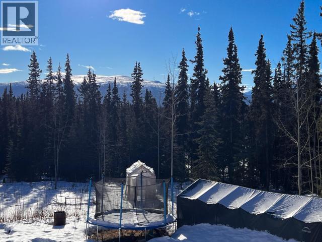 323 Mendenhall Road, Whitehorse North, Yukon  Y1A 6M7 - Photo 10 - 17187