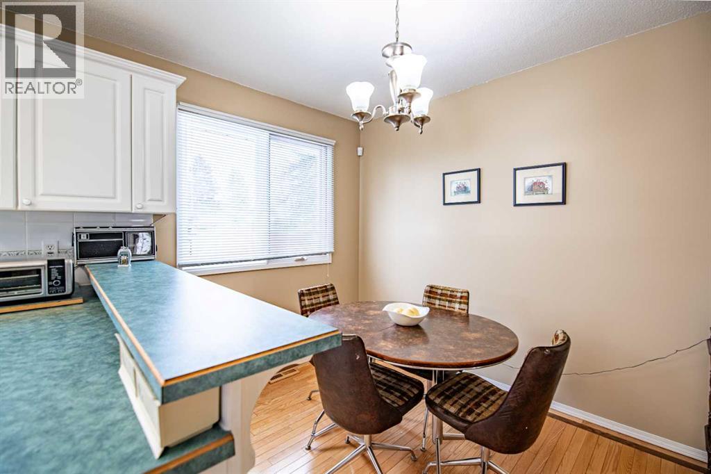 5333 57 Avenue, Rocky Mountain House, Alberta  T4T 1M7 - Photo 14 - A2289765