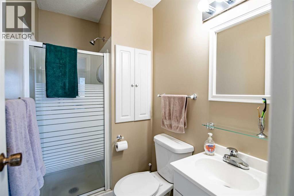 5333 57 Avenue, Rocky Mountain House, Alberta  T4T 1M7 - Photo 21 - A2289765