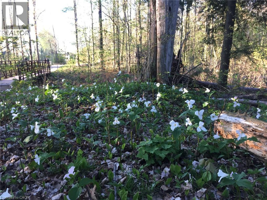 7 Kilkerran Crescent, Kitchener, Ontario  N2R 1B6 - Photo 40 - 40823029