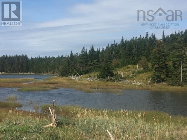 Grand Gully Island, River Tillard, Nova Scotia  B0E 2X0 - Photo 31 - 202608293
