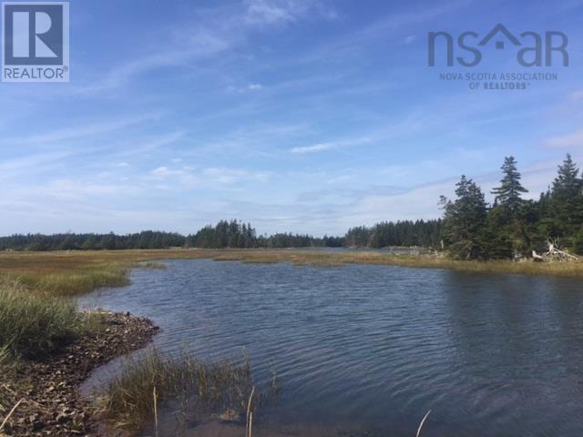 Grand Gully Island, River Tillard, Nova Scotia  B0E 2X0 - Photo 32 - 202608293