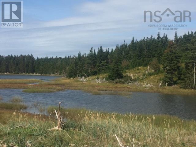Grand Gully Island, River Tillard, Nova Scotia  B0E 2X0 - Photo 40 - 202608293
