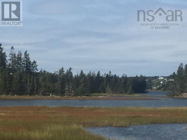 Grand Gully Island, River Tillard, Nova Scotia  B0E 2X0 - Photo 37 - 202608293