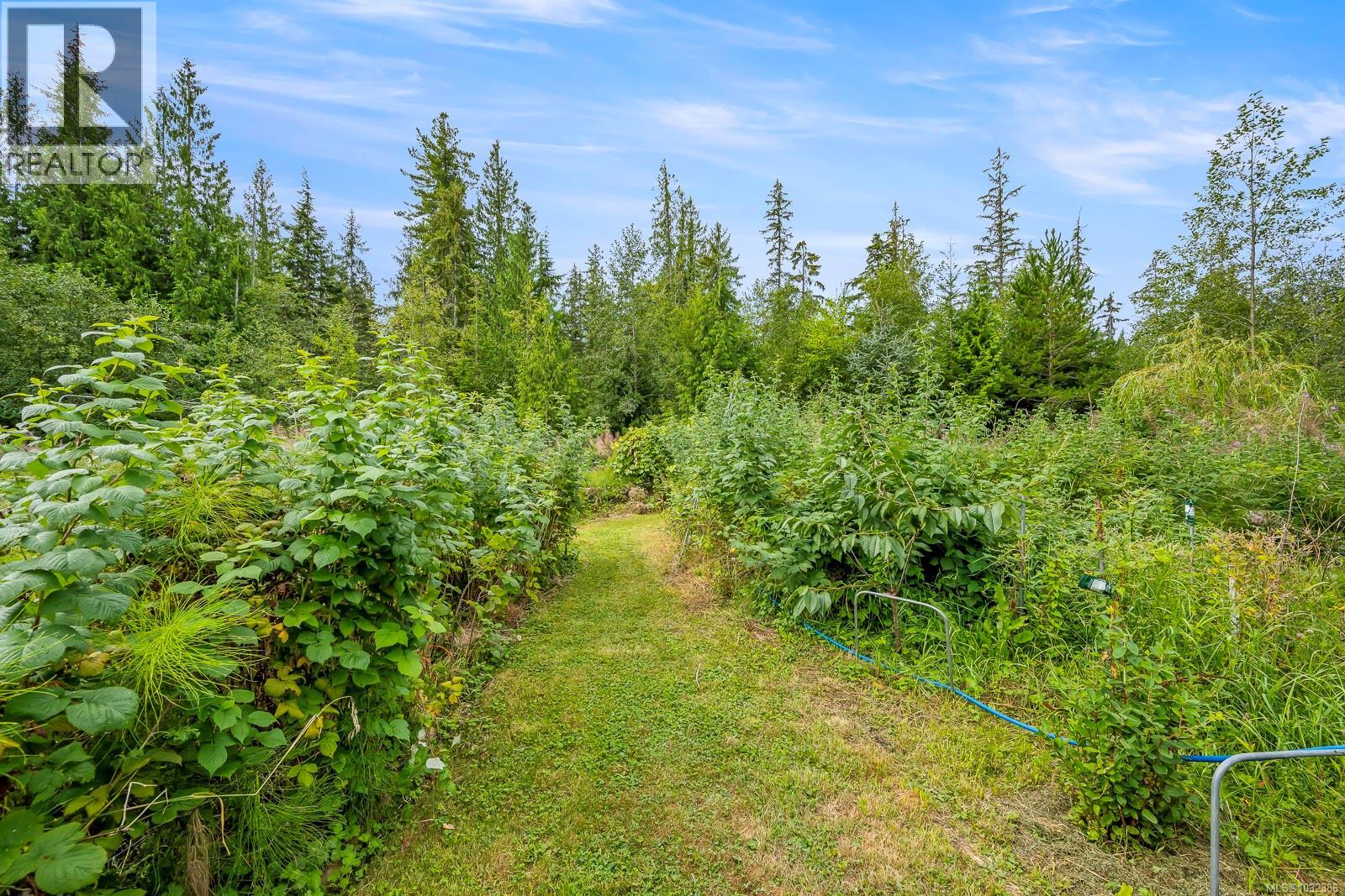 481 Olmstead Rd, Whaletown, British Columbia  V0P 1Z0 - Photo 38 - 1032386