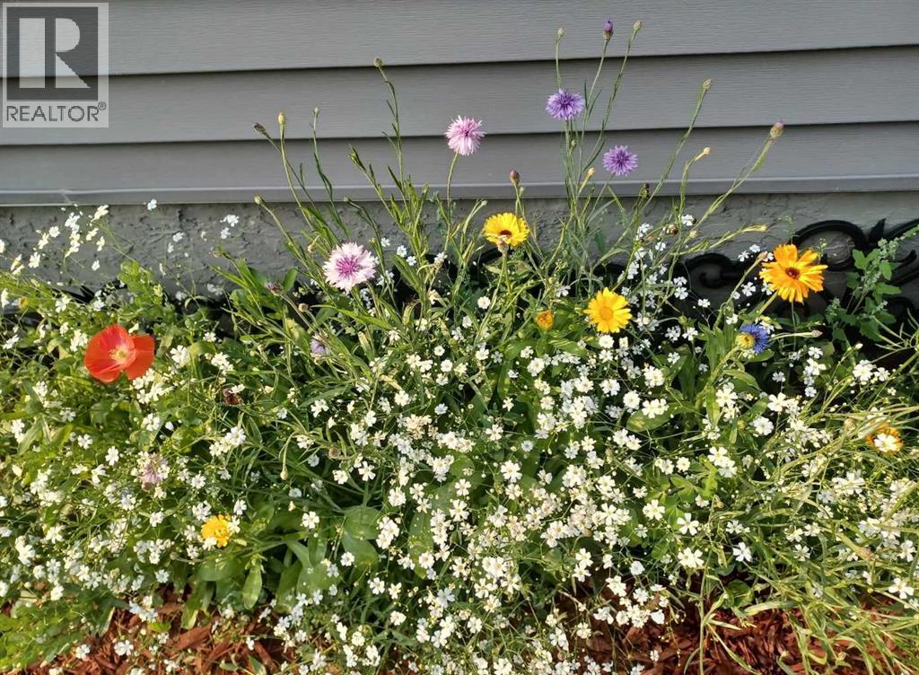 1016 Lanark Boulevard SE, Airdrie, Alberta  T4A 3L6 - Photo 47 - A2303325