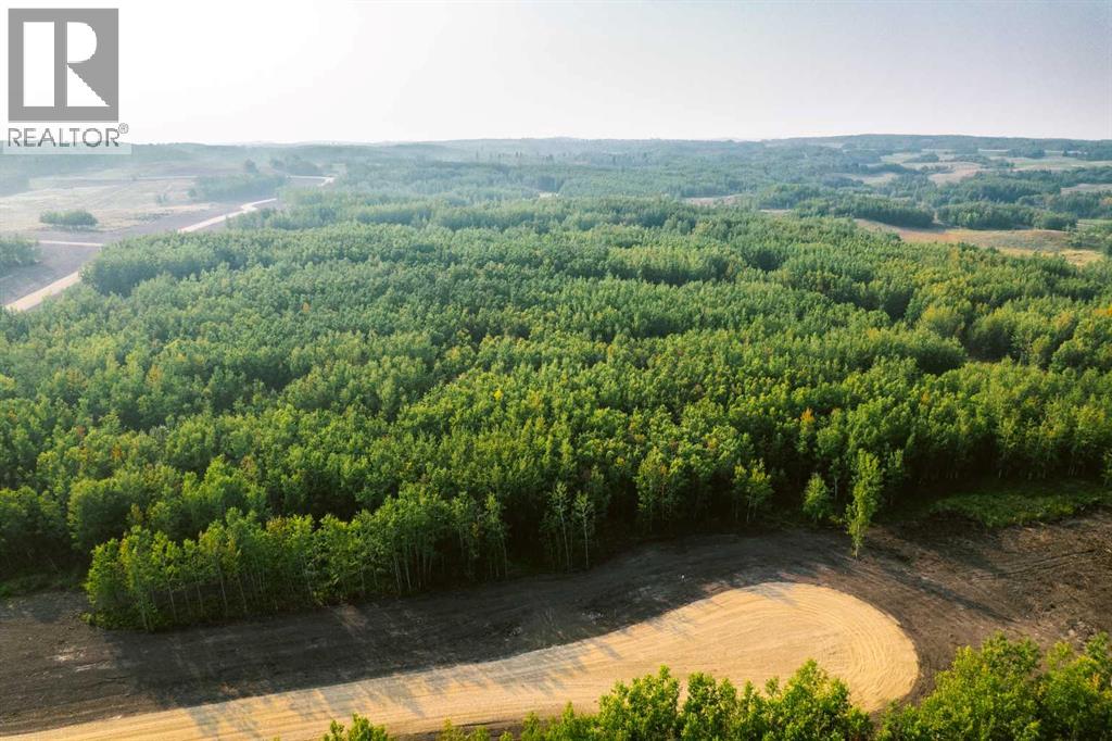 #25 - 423003 Range Road 14, Rural Ponoka County, Alberta  T0C 2J0 - Photo 4 - A2287765