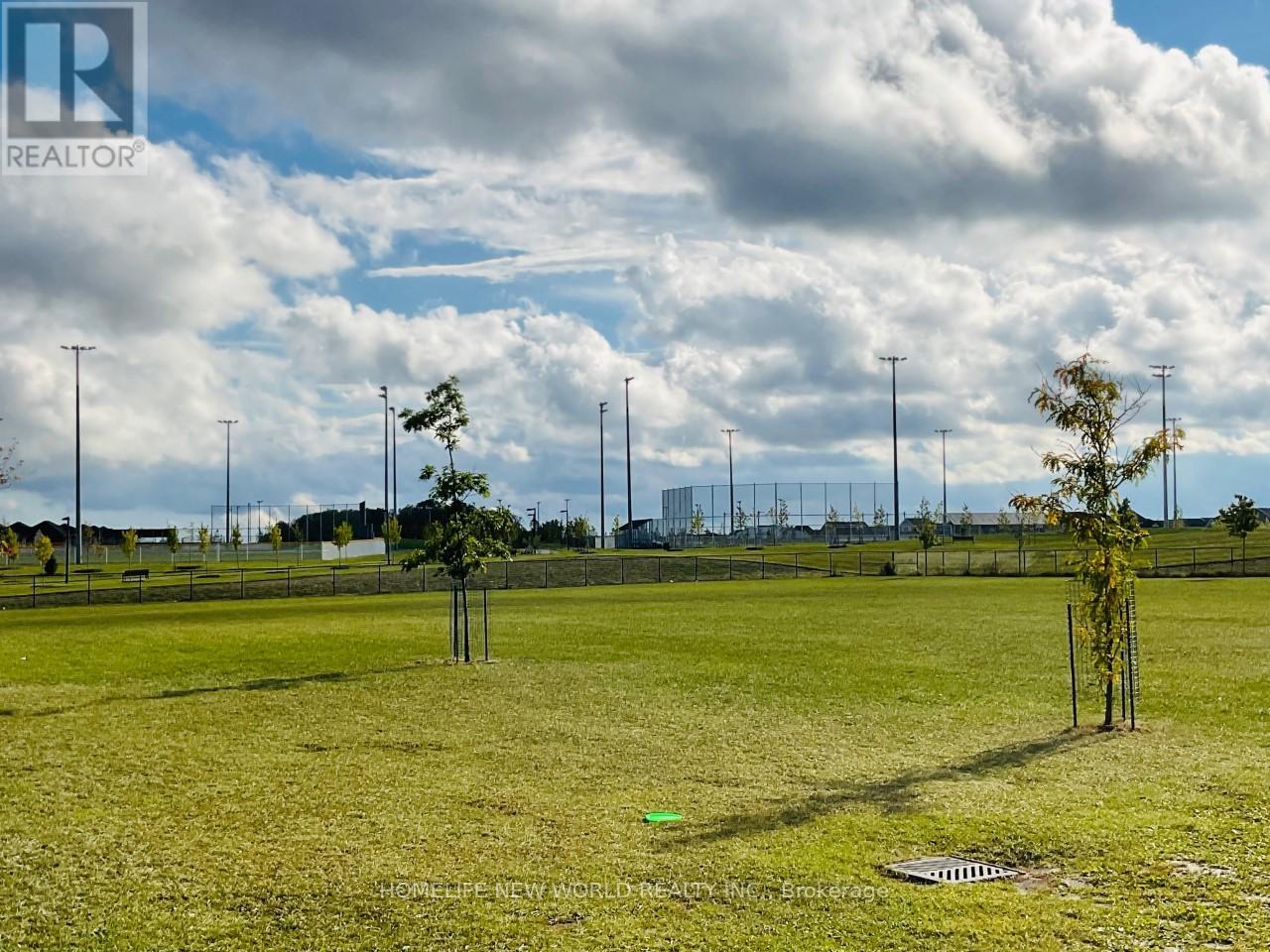 First Floor & Basement - 31 John Allan Cameron Street, Markham, Ontario  L6B 0P3 - Photo 21 - N13033592