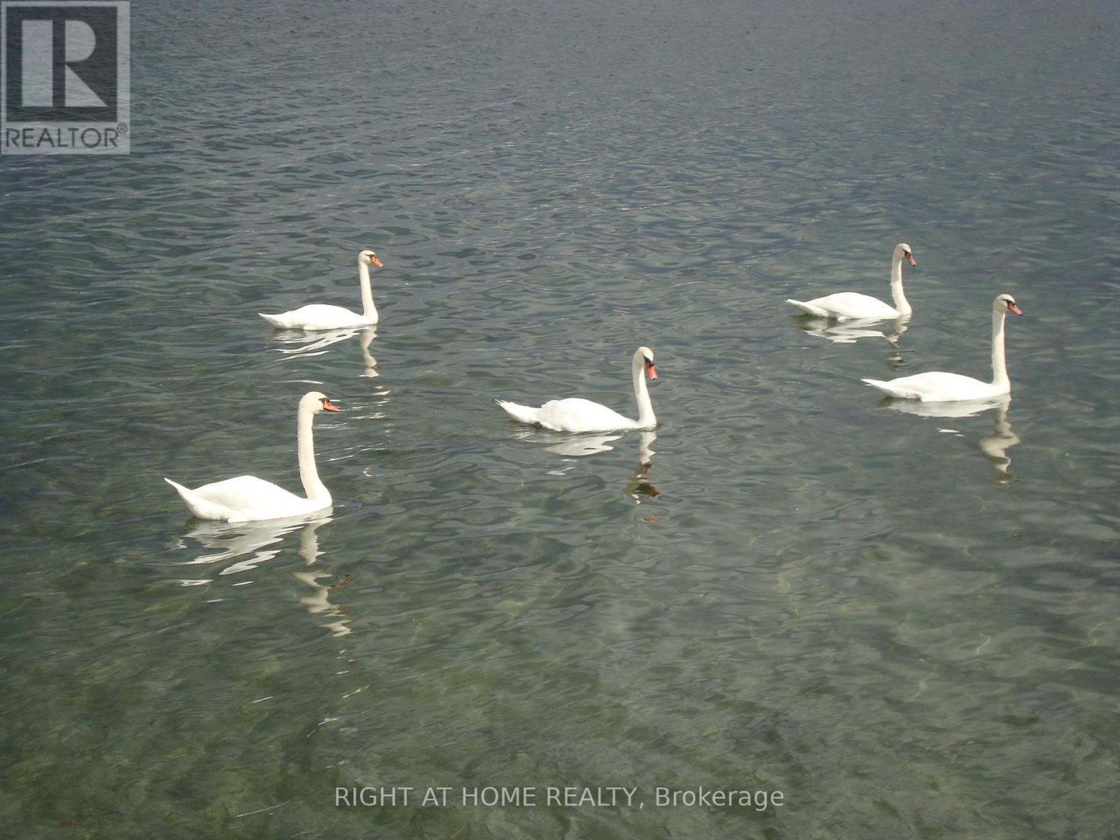 802 - 2663 Lake Shore Boulevard W, Toronto, Ontario  M8V 1G7 - Photo 29 - W13033556