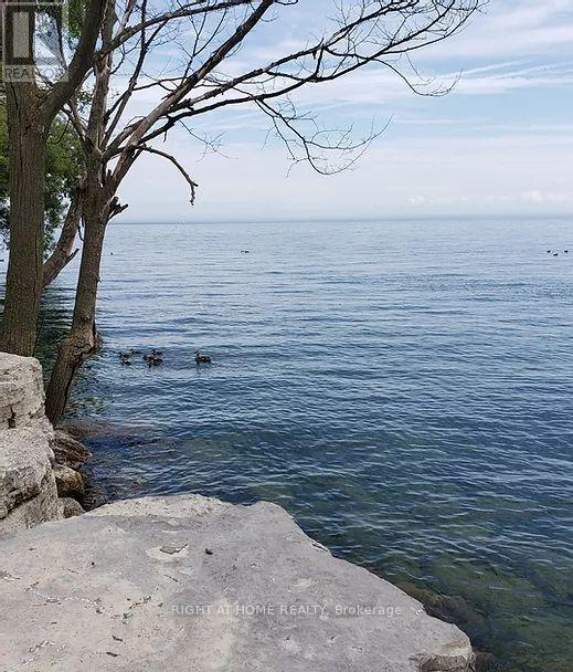 802 - 2663 Lake Shore Boulevard W, Toronto, Ontario  M8V 1G7 - Photo 4 - W13033556