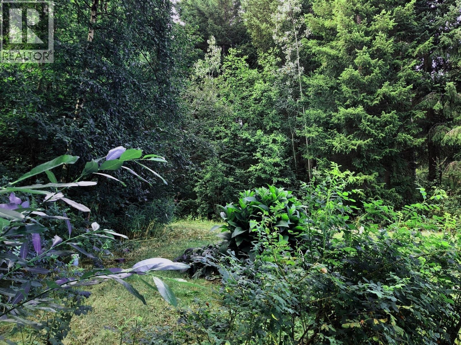 2405 Starlike Lake Road, Horsefly, British Columbia  V0L 1L0 - Photo 27 - R3114504