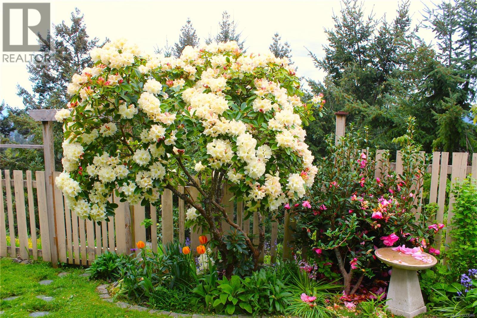 6246 Lower Chippewa Rd, Duncan, British Columbia  V9L 5P8 - Photo 55 - 1033046