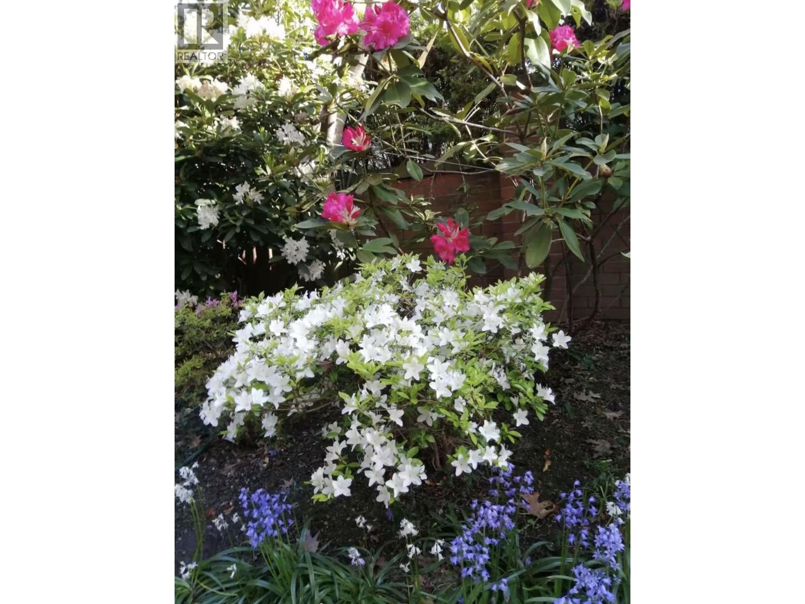 101 7231 Antrim Avenue, Burnaby, British Columbia  V5J 5H5 - Photo 32 - R3113280