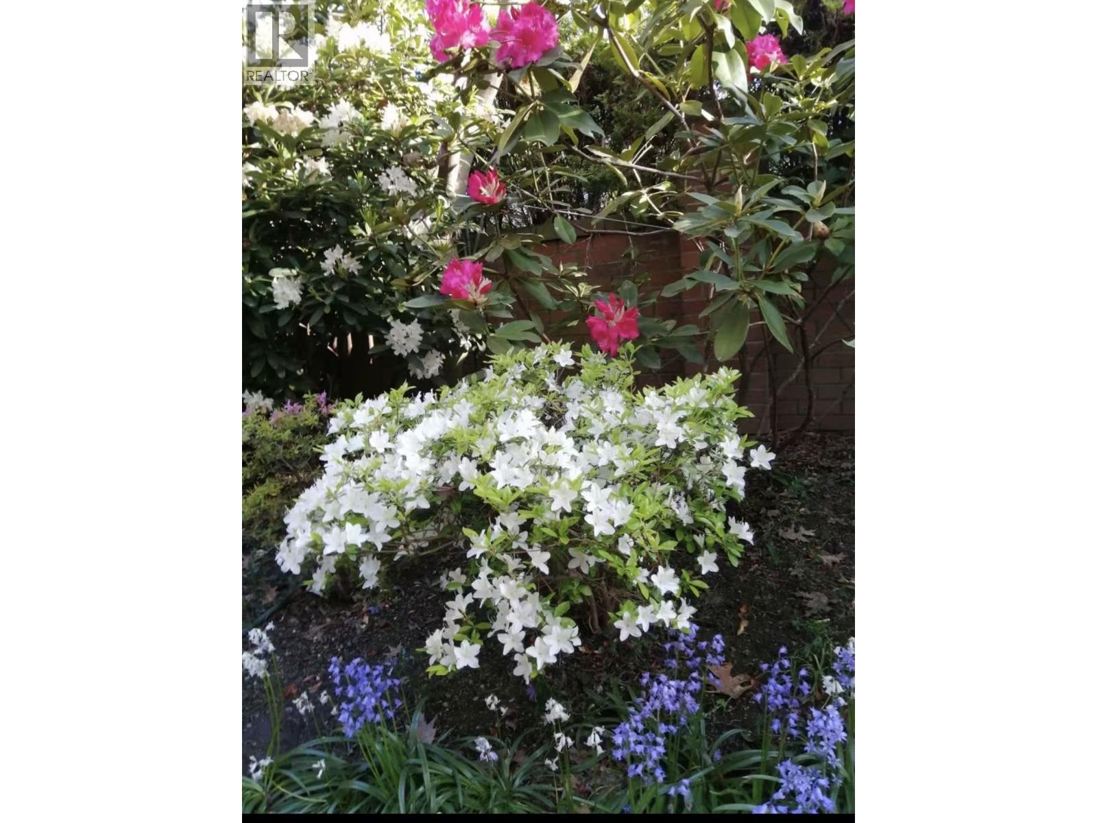 101 7231 Antrim Avenue, Burnaby, British Columbia  V5J 5H5 - Photo 29 - R3113280