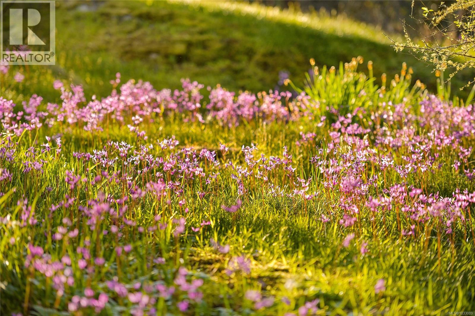 4836 Spring Rd, Saanich, British Columbia  V9E 2E4 - Photo 93 - 1033009