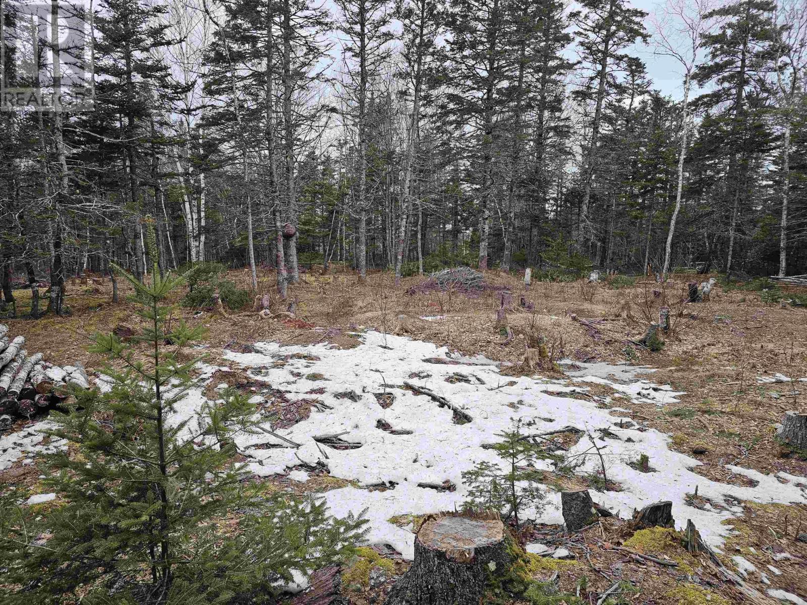 Lot Forest Glade Road, Forest Glade, Nova Scotia  B0S 1N0 - Photo 11 - 202528054