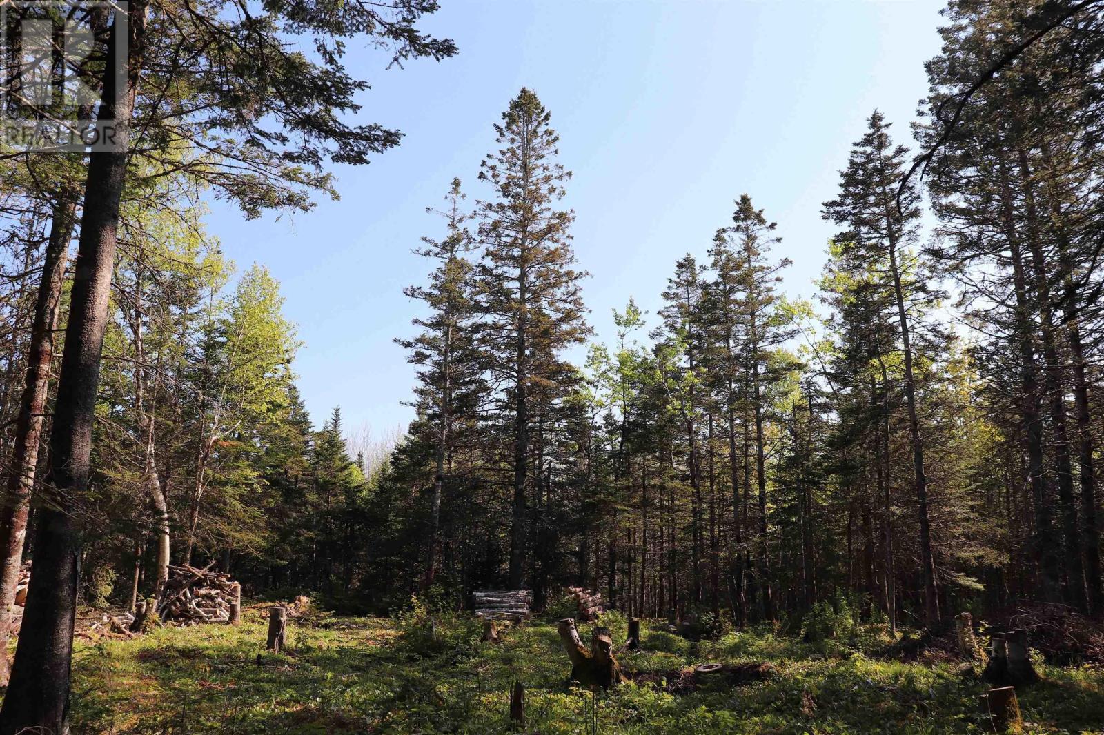Lot Forest Glade Road, Forest Glade, Nova Scotia  B0S 1N0 - Photo 12 - 202528054