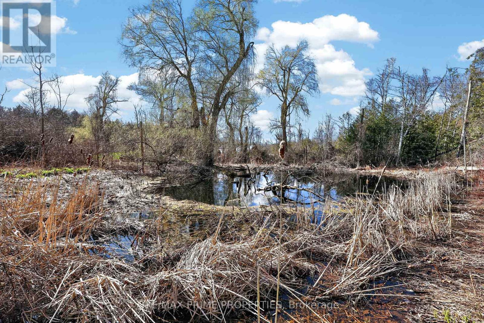 3016 Cole Road, East Gwillimbury, Ontario  L0G 1R0 - Photo 33 - N13033736