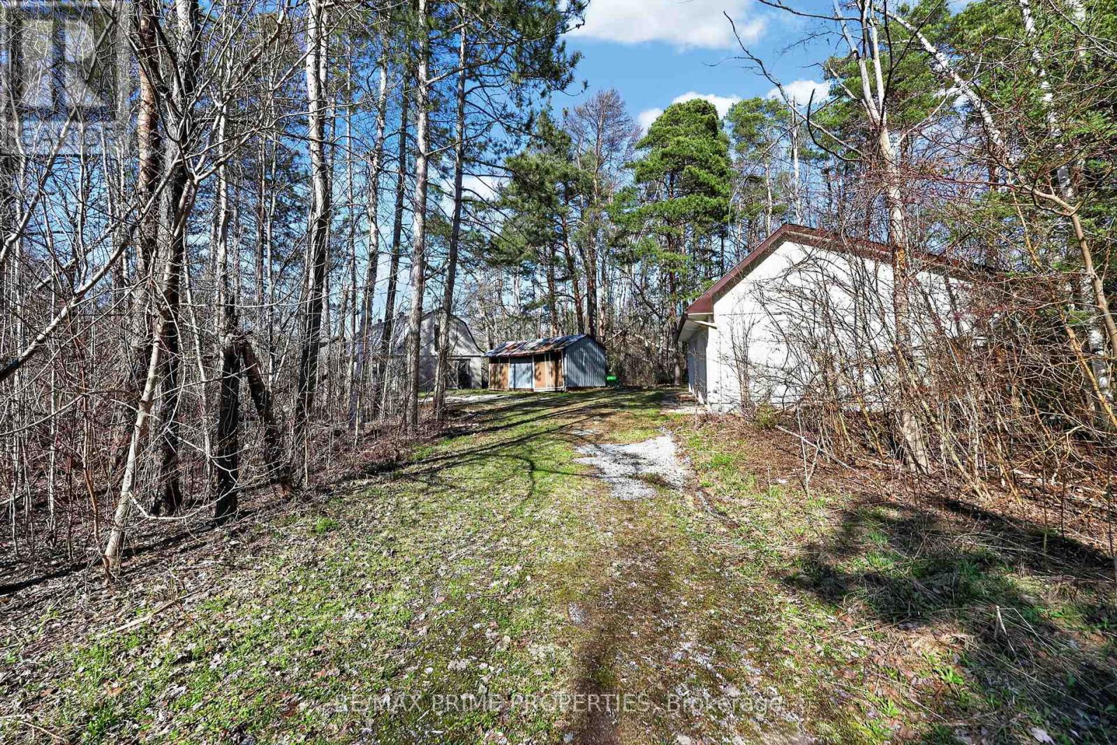 3016 Cole Road, East Gwillimbury, Ontario  L0G 1R0 - Photo 34 - N13033736