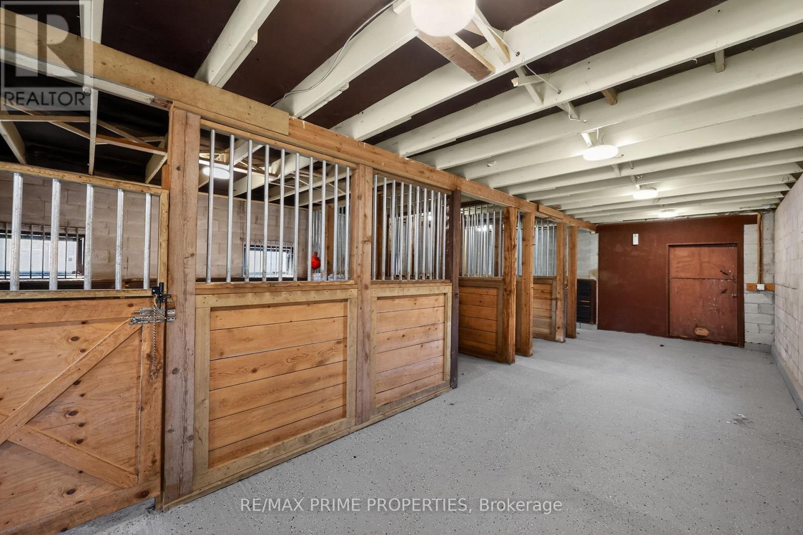 3016 Cole Road, East Gwillimbury, Ontario  L0G 1R0 - Photo 39 - N13033736