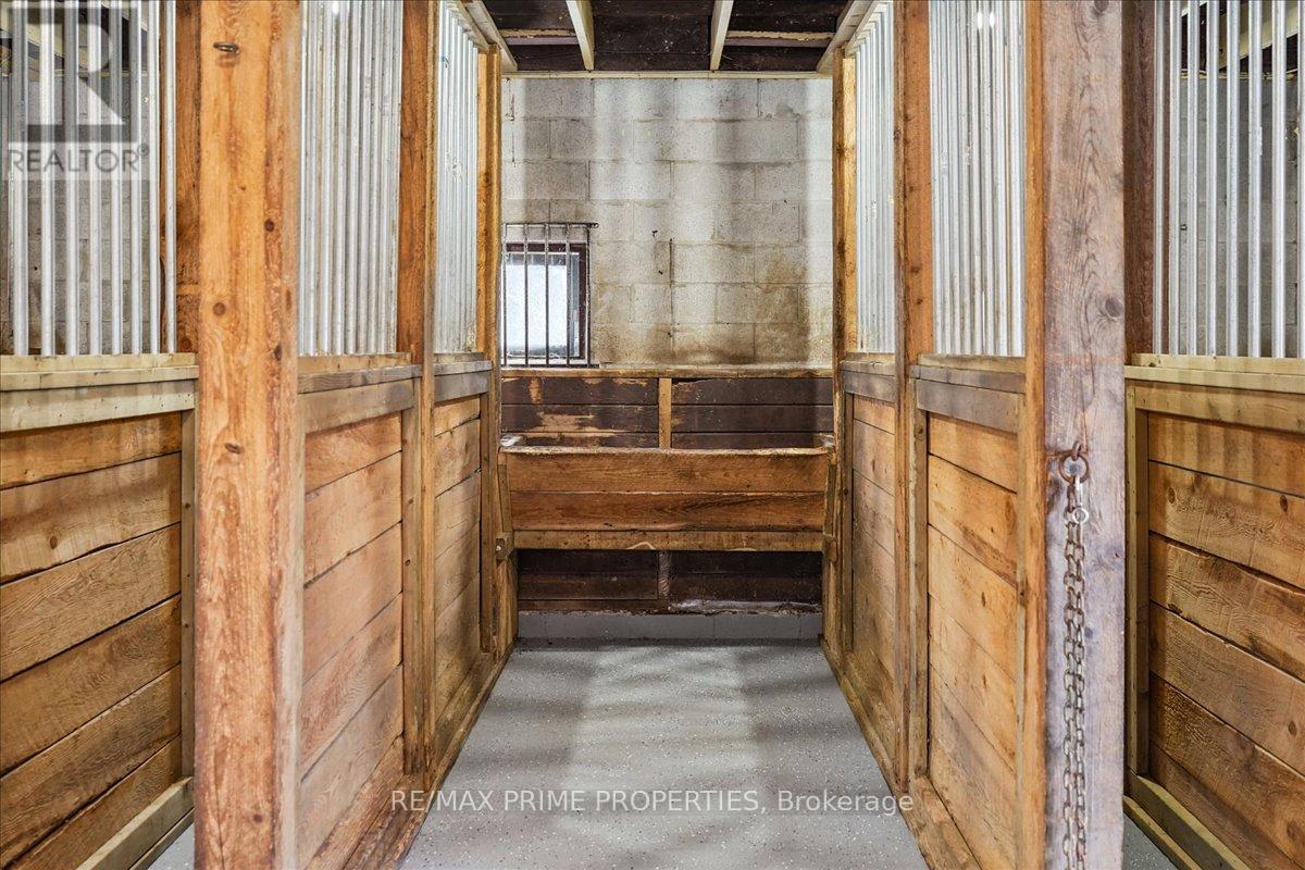 3016 Cole Road, East Gwillimbury, Ontario  L0G 1R0 - Photo 41 - N13033736