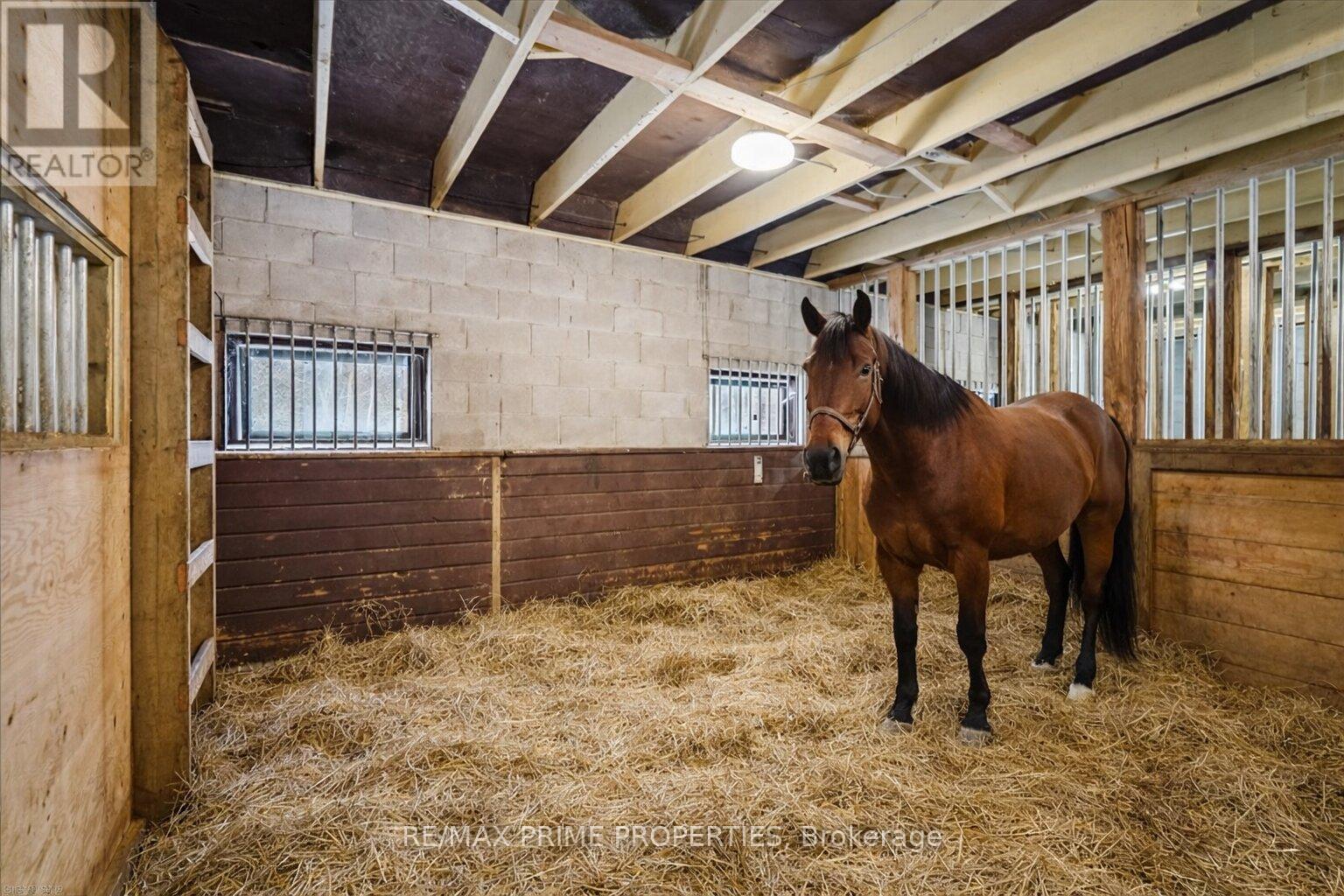 3016 Cole Road, East Gwillimbury, Ontario  L0G 1R0 - Photo 43 - N13033736