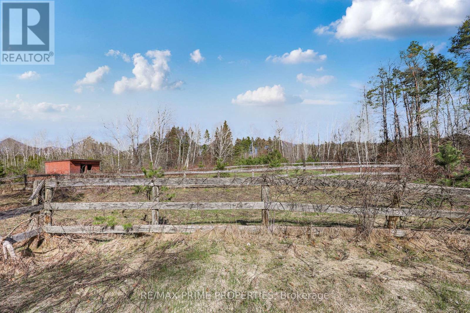 3016 Cole Road, East Gwillimbury, Ontario  L0G 1R0 - Photo 45 - N13033736