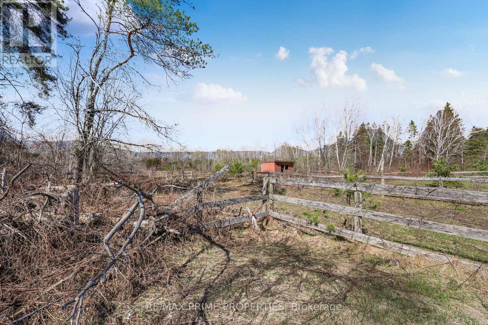 3016 Cole Road, East Gwillimbury, Ontario  L0G 1R0 - Photo 46 - N13033736