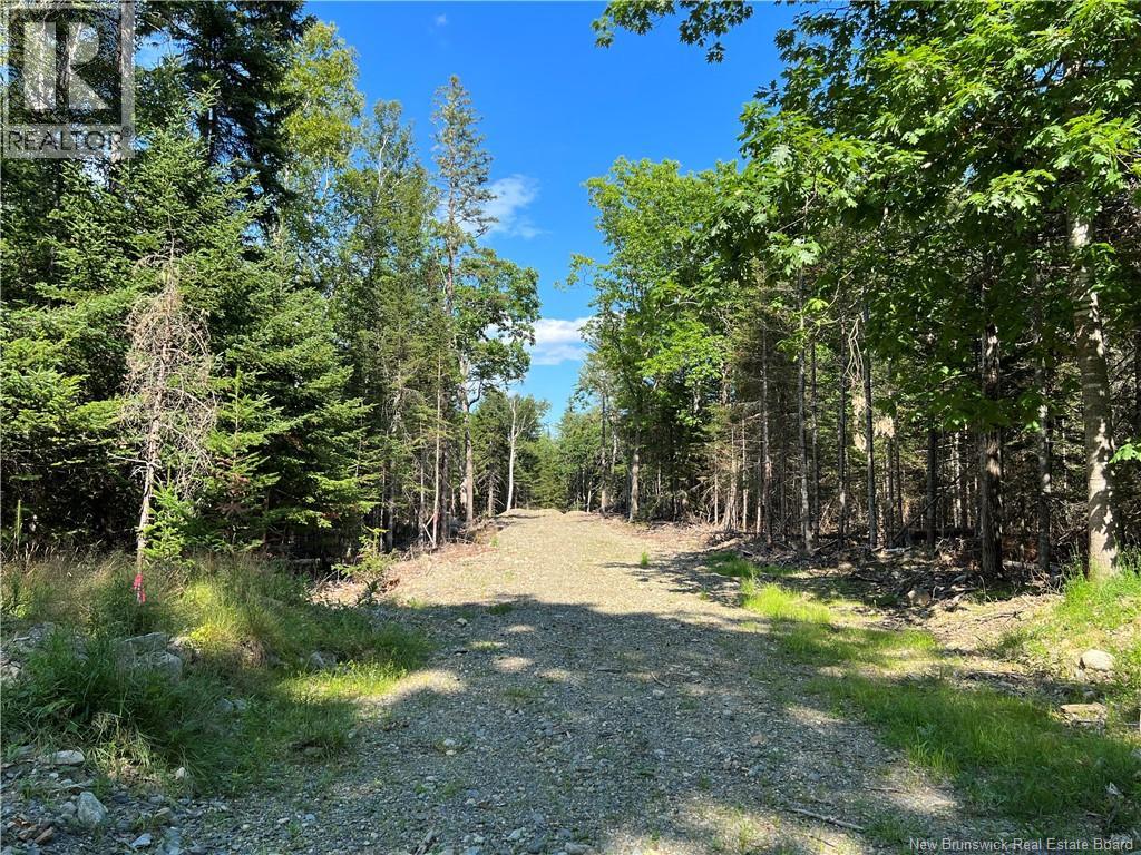 Hills Point Road, Oak Bay, New Brunswick  E3L 4J6 - Photo 1 - NB137743