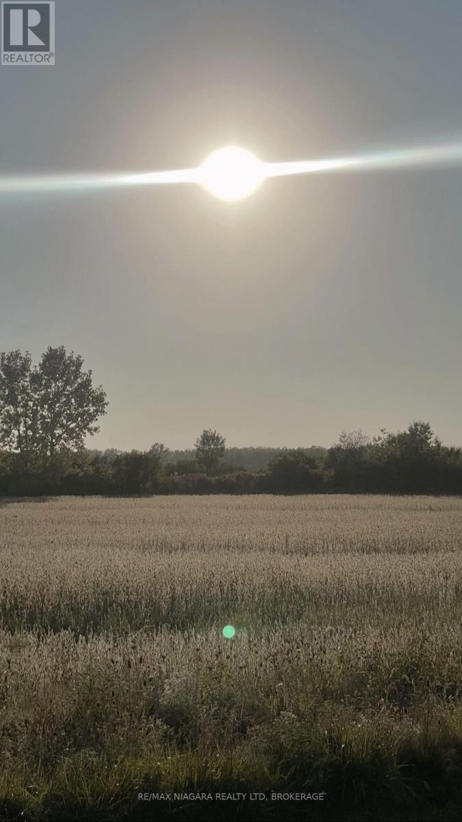 106 Colborne Street, Welland, Ontario  L3B 3P1 - Photo 39 - X13023560